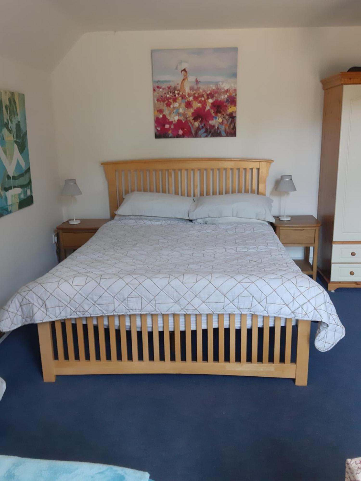 Bed and Breakfast Kyleard Ryan Monasterevin Exteriér fotografie